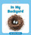 In My Backyard - 9781534139176 by Czeena Devera, 9781534139176