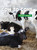 Cow to Cone - 9781534139565 by Julie Knutson, 9781534139565