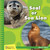 Seal or Sea Lion - 9781534150218 by Tamra B. Orr, 9781534150218