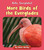 More Birds of the Everglades by Howie Minsky, 9781534157149