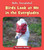 Birds Look at Me in the Everglades by Howie Minsky, 9781534157163