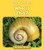 Who is This? by Howie Minsky, 9781534157262