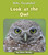 Look at the Owl by Howie Minsky, 9781534157323