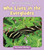Who Lives in the Everglades by Howie Minsky, 9781534157446