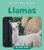 Llamas - 9781668908846 by Julia Jaske, 9781668908846 Llamas - 9781668908846 by Julia Jaske, 9781668908846