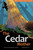The Cedar Mother by Hetxw'ms Gyetxw Brett D. Huson, Natasha Donovan, 9781774921586
