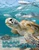 The Kingfisher Ocean Encyclopedia by Kingfisher, 9780753481486