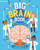Big Brain Book (How It Works and All Its Quirks) by Leanne Boucher Gill, PhD, 9781433830457