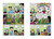 Lizard Boy 2: The Most Perfect Summer Ever - 9781536216479 by Jonathan Hill, Jonathan Hill
