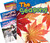 Weather & Seasons 4-Book Set by Multiple Authors, 9781493814367