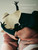 Thank You For Playing With Me by Yolanda Y. Liou, 9789464363579