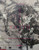 Ex Animo by Faith XLVII, 9788898565436