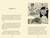 Picture Perfect by Serena Patel, Louise Forshaw, 9781454962755
