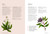Astro Herbalism (Holistic Wellness and Self-Discovery through Herbalism and Astrology) by Jessica Rosset, 9781643265544