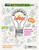 Activating Students' Ideas (Linking Formative Assessment Probes to Instructional Sequence) by Patrick Lee Brown, Page Keeley, 9781681409689