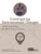 Investigating Environmental Changes, Grade 2 (STEM Road Map for Elementary School) by Carla C. Johnson, Janet B. Walton, Erin Peters-Burton, 9781681405346
