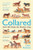 Collared (How We Made the Modern Dog) by Chris Pearson, 9781800816404