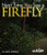 Next Time You See a Firefly by Emily Morgan, 9781938946165