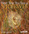 Next Time You See a Spiderweb by Emily Morgan, 9781938946349