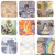 Home Time: Twelve Days ((collecting Home Time: Under the River and Home Time II: Beyond the Weaving)) by Campbell Whyte, 9781603095822