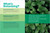 Let's Botanize (101 Ways to Connect with Plants) by Ben Goulet-Scott, Jacob S. Suissa, 9781635869040