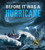 Before It Was a Hurricane by Jieting Chen, Mary Kay Carson, 9781499818987