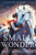 Small Wonder - 9781536252026 by Ross Montgomery, 9781536252026