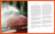 G-Que Barbeque (A Mile Above the Rest-More Than 75 Proven Recipes for Breaking Barbeque Boundaries) by Jason Ganahl, James O. Fraioli, 9781510785397