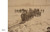 Early Gaze (Unseen Photography of the 19th Century) (Dutch; Flemish Edition) by Tamara Berghmans, Ingrid Leonard, 9789493416284