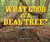 What Good Is a Dead Tree? (A Science Mystery) by Doug Wechsler, Doug Wechsler, 9798348010539