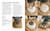Sourdough Everything (Sweet and Savory Recipes for Beautiful Breads and Other Bakes) by Rachel Pardoe, 9780593967645