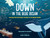 Down in the Blue Ocean (Journey from the Ocean's Surface to Its Deepest Depths) by Gianumberto Accinelli, Giulia Zaffaroni, Nanette McGuinness, 9781459843318