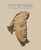City of Gold (The Archaeology of Polis Chrysochous, Cyprus) by William A. P. Childs, Joanna S. Smith, J. Michael Padgett, William Caraher, William A. P. Childs, Tina Najbjerg, J. Michael Padgett, Amy Papalexandrou, Nancy Serwint, Joanna S. Smith, Mary Grace Weir, 9780300174397