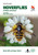 Hoverflies of Britain and Ireland (Third Edition, Fully Revised and Updated) by Stuart Ball, Roger Morris, 9780691246789