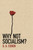 Why Not Socialism? (Miniature Edition) by Gerald A. Cohen, 9780691143613