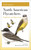 Field Guide to North American Flycatchers (Kingbirds and Myiarchus) by Cin-Ty Lee, Andrew Birch, 9780691240640