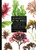 Seaweeds of the World (A Guide to Every Order) by John Bothwell, 9780691228549 Seaweeds of the World (A Guide to Every Order) by John Bothwell, 9780691228549
