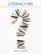 Literacy 101 (Questions and answers that meet the needs of real teachers in K-8 classrooms) by David Booth, 9781551383156 Literacy 101 (Questions and answers that meet the needs of real teachers in K-8 classrooms) by David Booth, 9781551383156