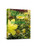 Birdsong (Dutch; Flemish Edition) by David Claerbout, 9789493416154
