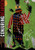 Conjuring Bearden by Richard J. Powell, Margaret Ellen Di Giulio, Alicia Garcia, Victoria Trout, Christine Wang, 9780938989271 Conjuring Bearden by Richard J. Powell, Margaret Ellen Di Giulio, Alicia Garcia, Victoria Trout, Christine Wang, 9780938989271