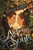 Alchemy of Souls by Adriana Mather, 9781250408419