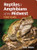 Reptiles & Amphibians of the Midwest Field Guide (Miniature Edition) by Stan Tekiela, 9781647555986