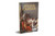 Julius Caesar (Abridged and Illustrated) by William Shakespeare, 9789389567427