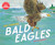 Bald Eagles - 9780823462889 by Gail Gibbons, 9780823462889