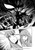 Saint Seiya: Dark Wing Vol.3 by Masami Kurumada, Shinshu Ueda, 9781787747203