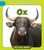 Ox by Cecilia Minden, 9781668972526