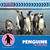 Penguins in the Wild by Helen Foster James, 9781668972816