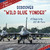 Discover "Wild Blue Yonder" (A Tribute to the U.S. Air Force) - 9781668974377 by Jamie Quinn, 9781668974377
