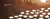 Turtle Slept In by Jacob Grant, Jacob Grant, 9780593695012