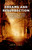 Dreams and Resurrection (On Immortal Selves, Psychedelics, and Christianity) by Jack Call, 9781782796831